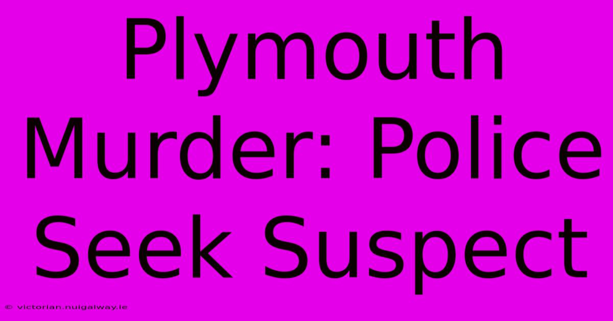 Plymouth Murder: Police Seek Suspect