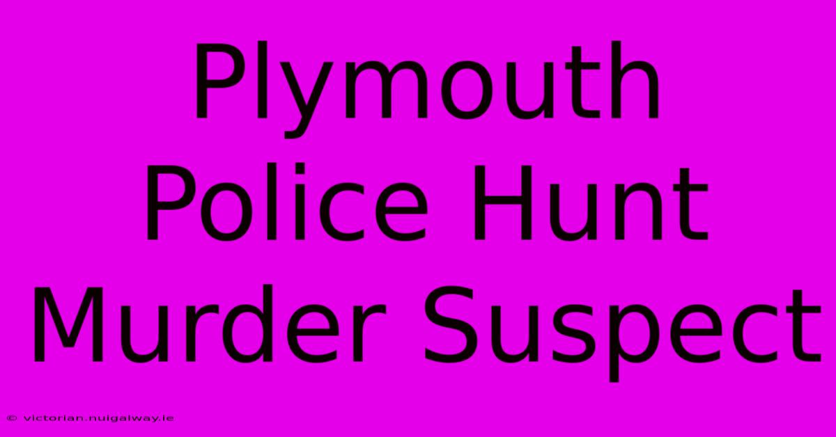 Plymouth Police Hunt Murder Suspect