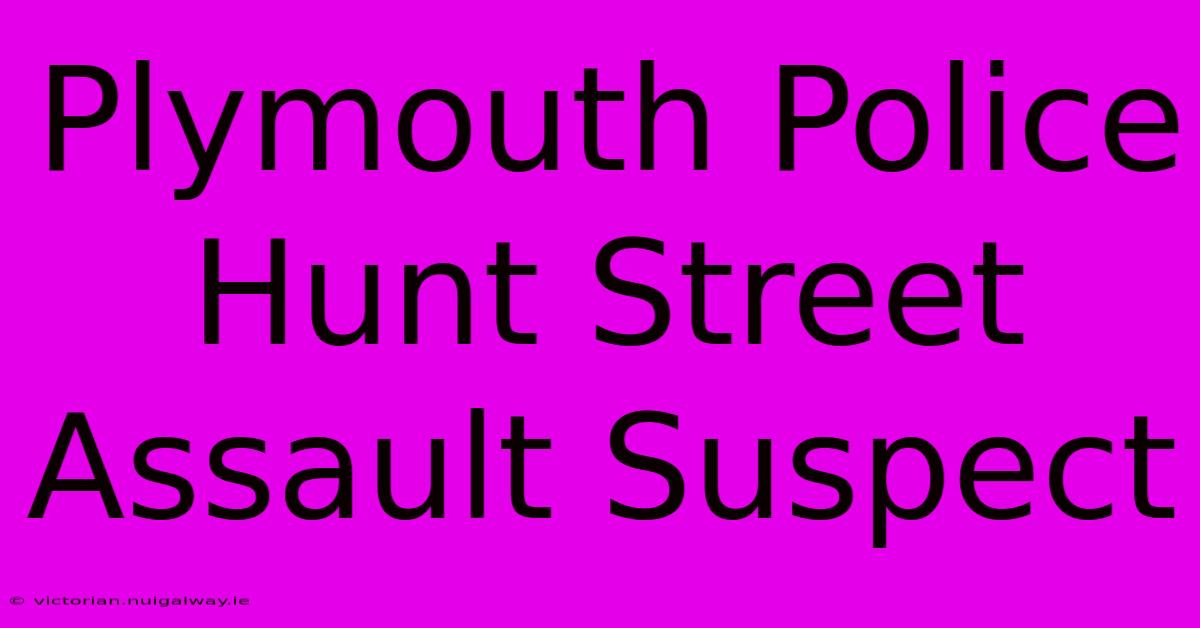 Plymouth Police Hunt Street Assault Suspect