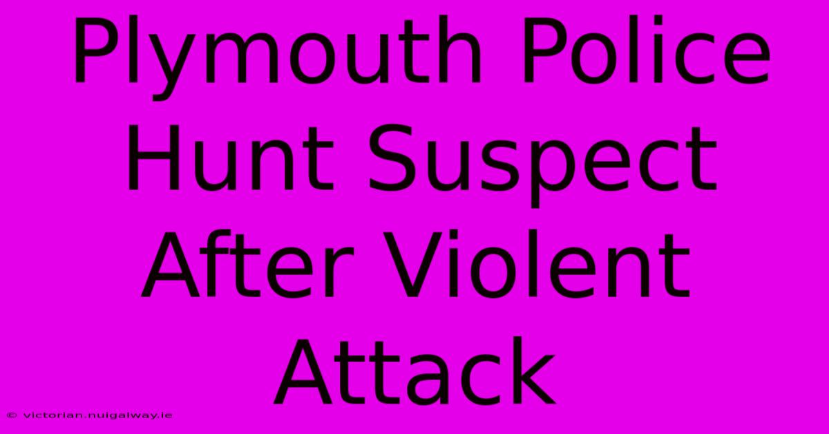 Plymouth Police Hunt Suspect After Violent Attack