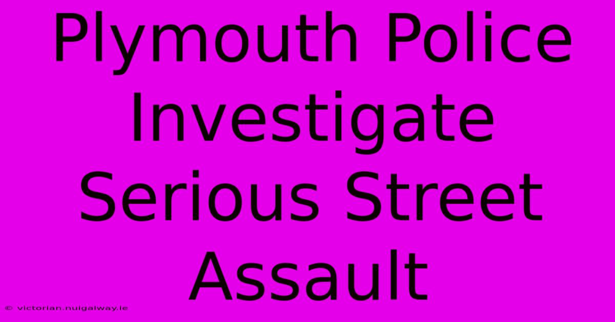 Plymouth Police Investigate Serious Street Assault