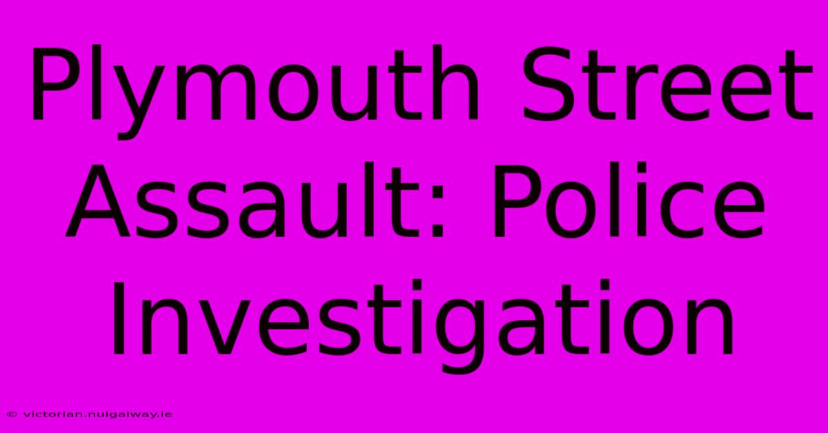 Plymouth Street Assault: Police Investigation