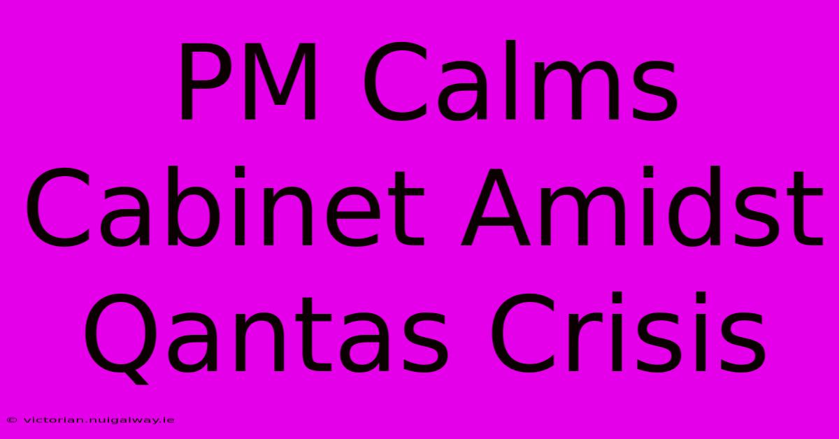 PM Calms Cabinet Amidst Qantas Crisis