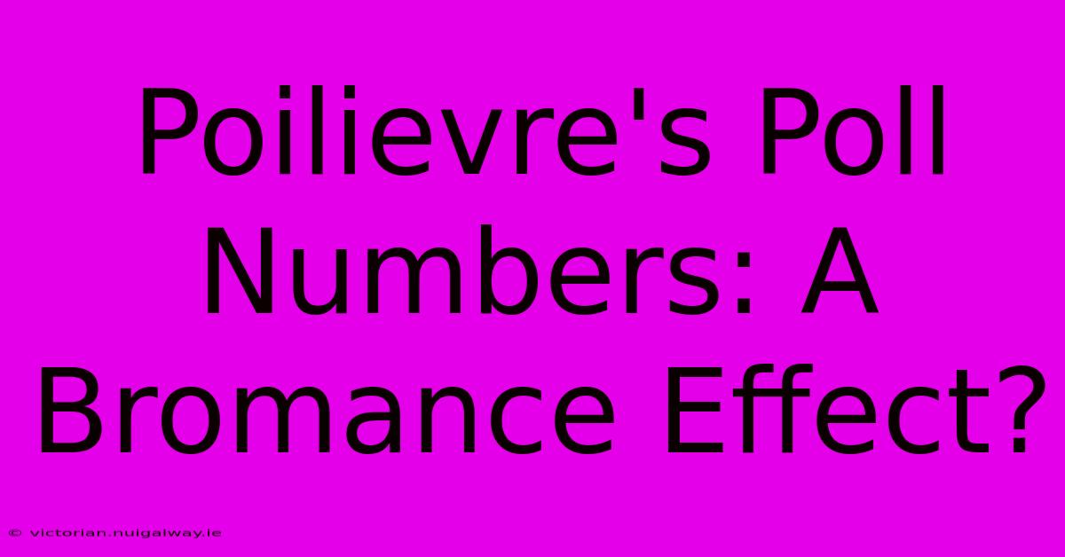 Poilievre's Poll Numbers: A Bromance Effect?