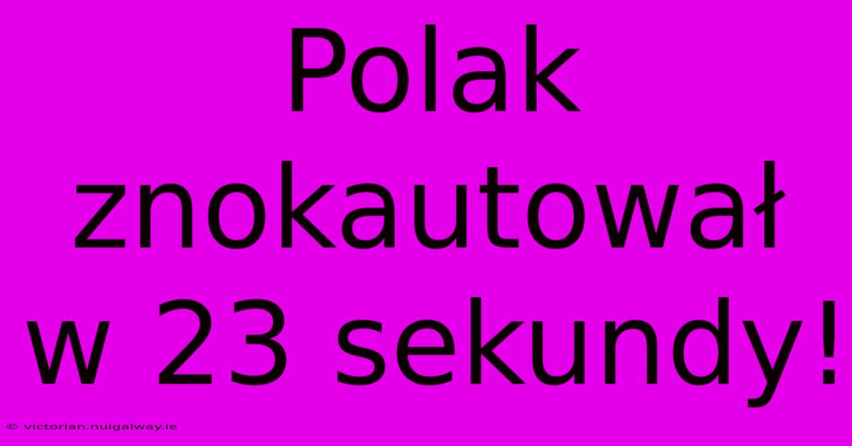 Polak Znokautował W 23 Sekundy!