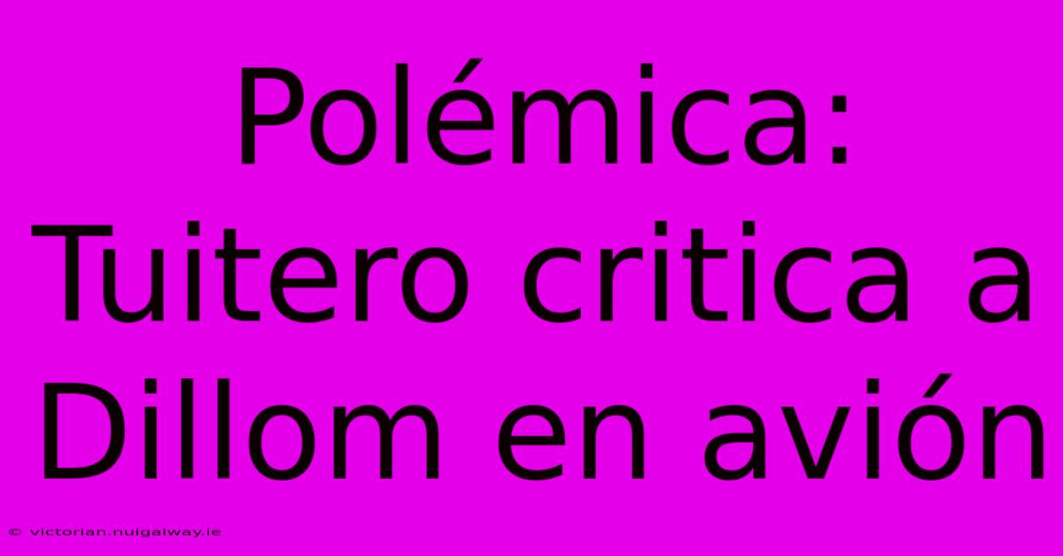 Polémica: Tuitero Critica A Dillom En Avión