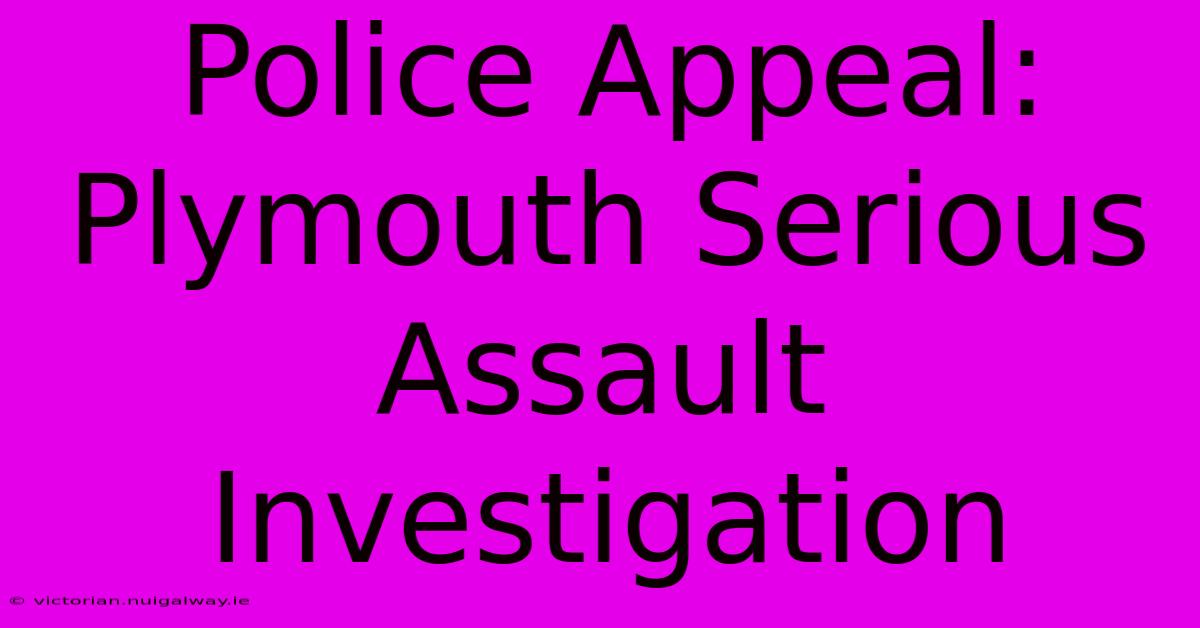 Police Appeal: Plymouth Serious Assault Investigation