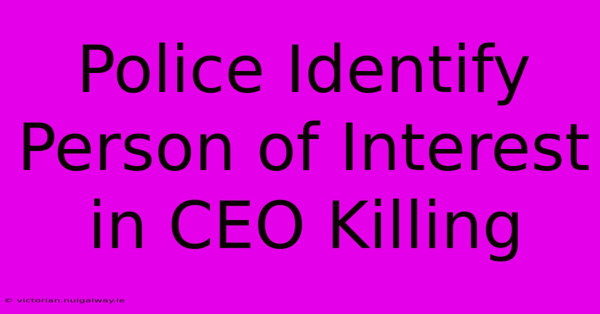 Police Identify Person Of Interest In CEO Killing