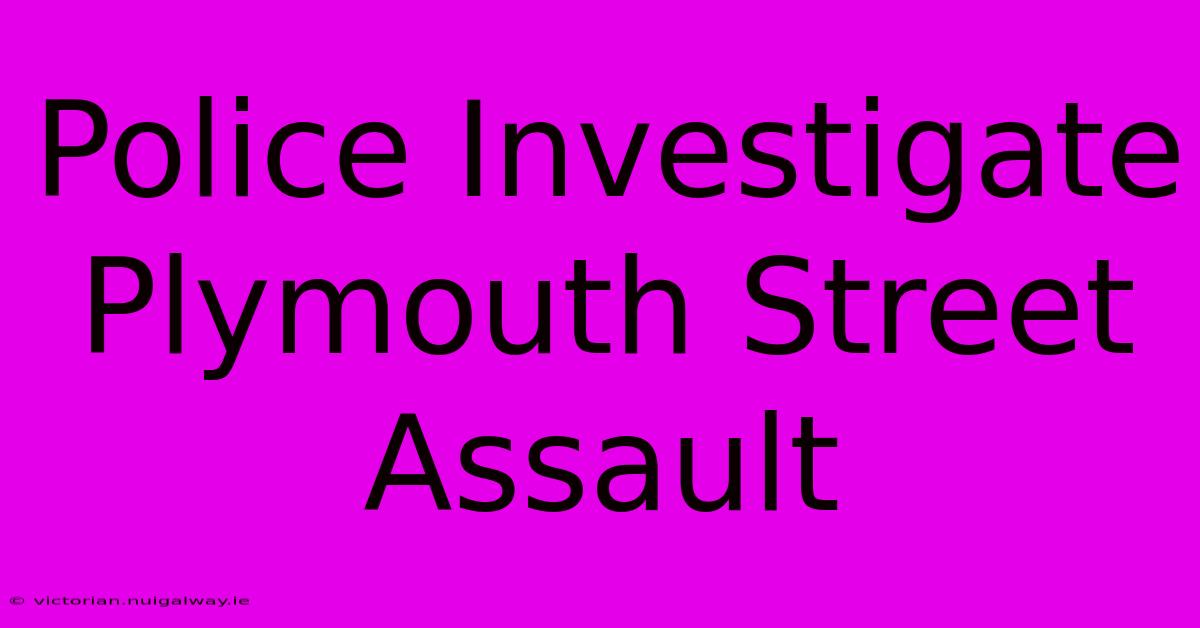 Police Investigate Plymouth Street Assault