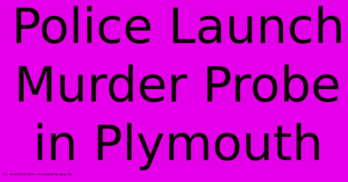 Police Launch Murder Probe In Plymouth