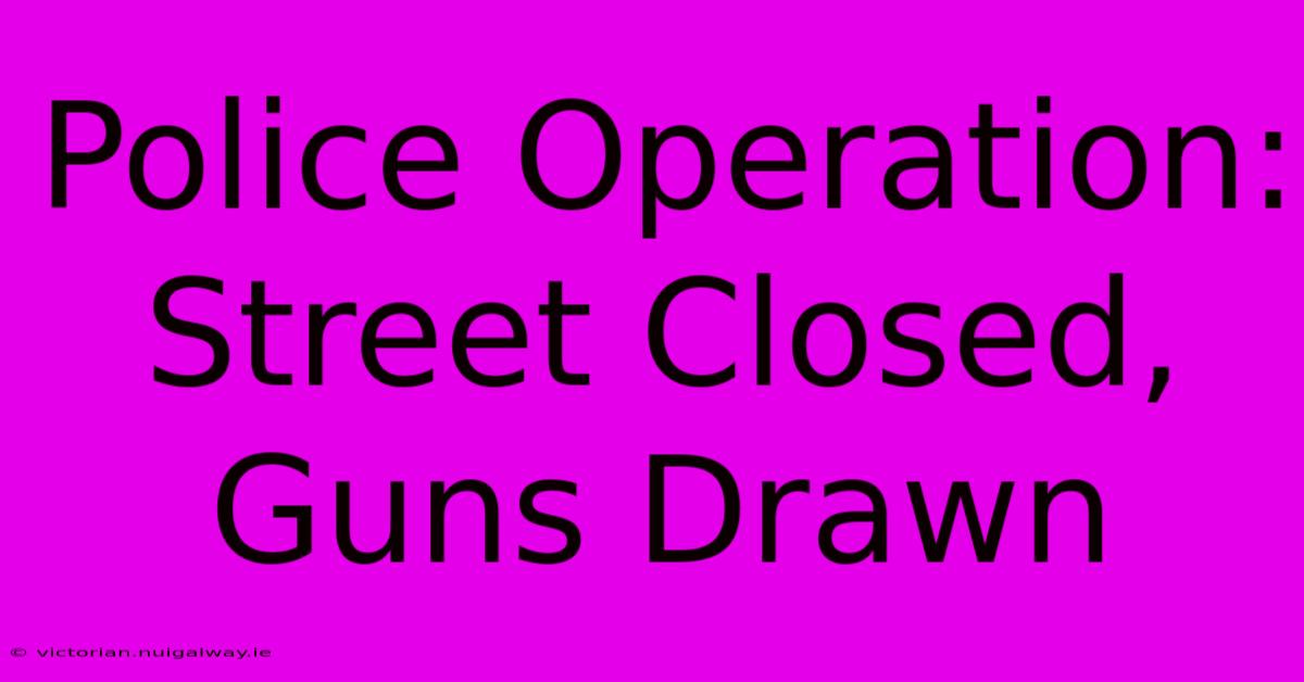 Police Operation: Street Closed, Guns Drawn