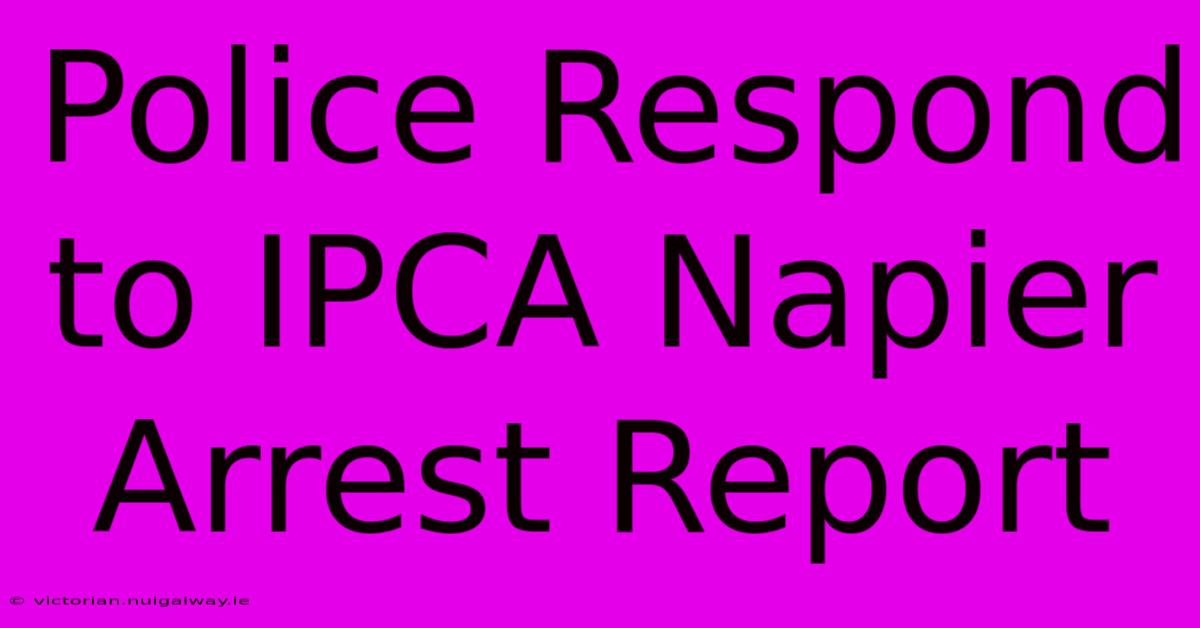 Police Respond To IPCA Napier Arrest Report