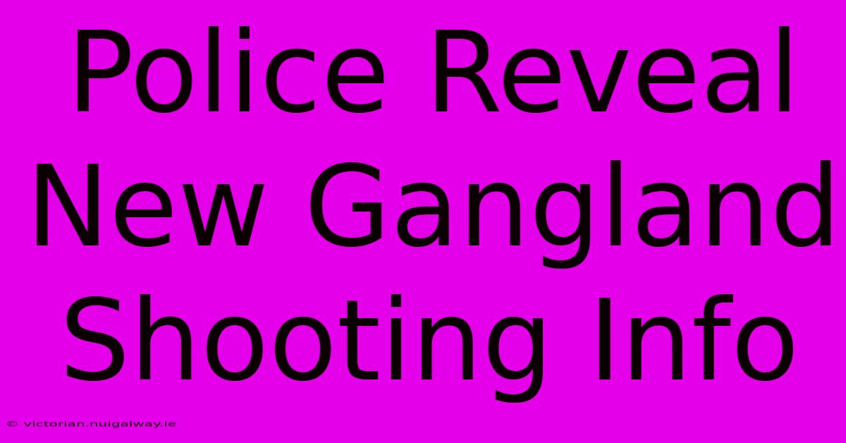 Police Reveal New Gangland Shooting Info