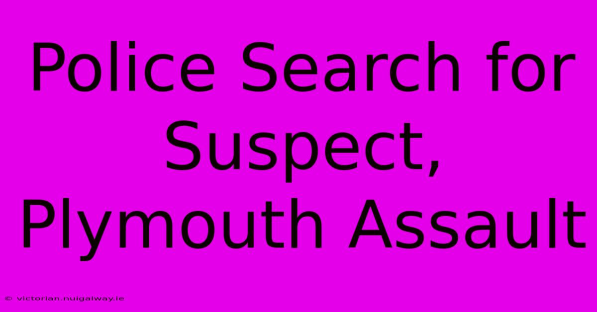 Police Search For Suspect, Plymouth Assault