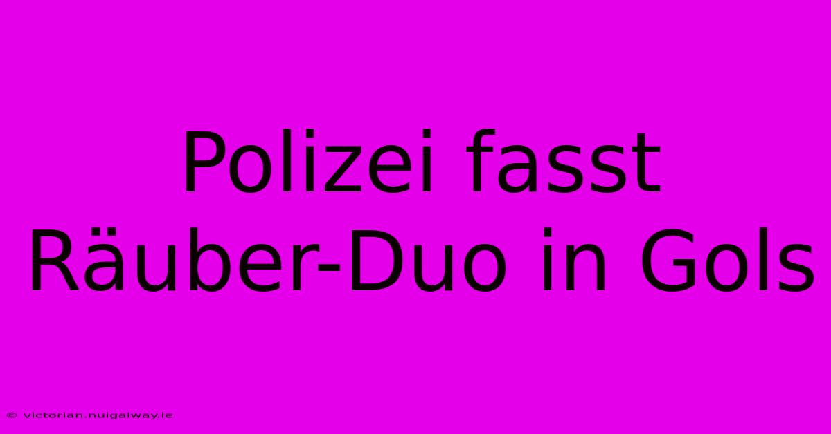 Polizei Fasst Räuber-Duo In Gols