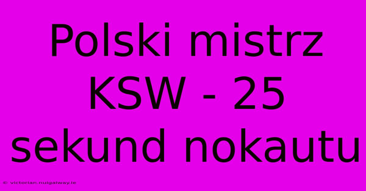 Polski Mistrz KSW - 25 Sekund Nokautu