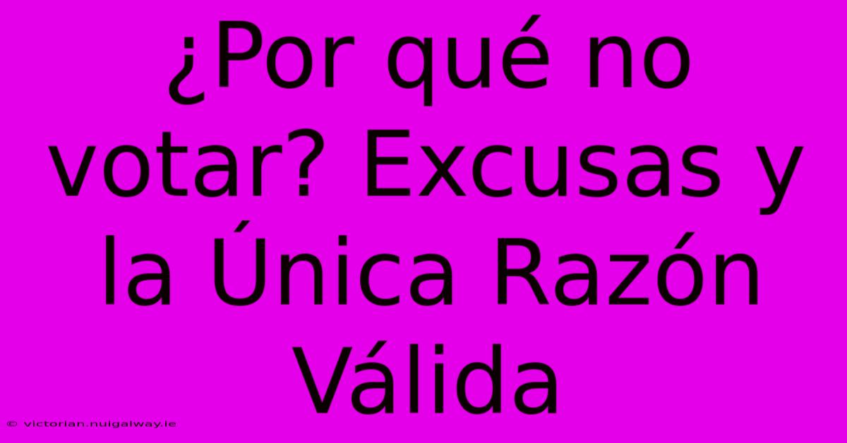 ¿Por Qué No Votar? Excusas Y La Única Razón Válida