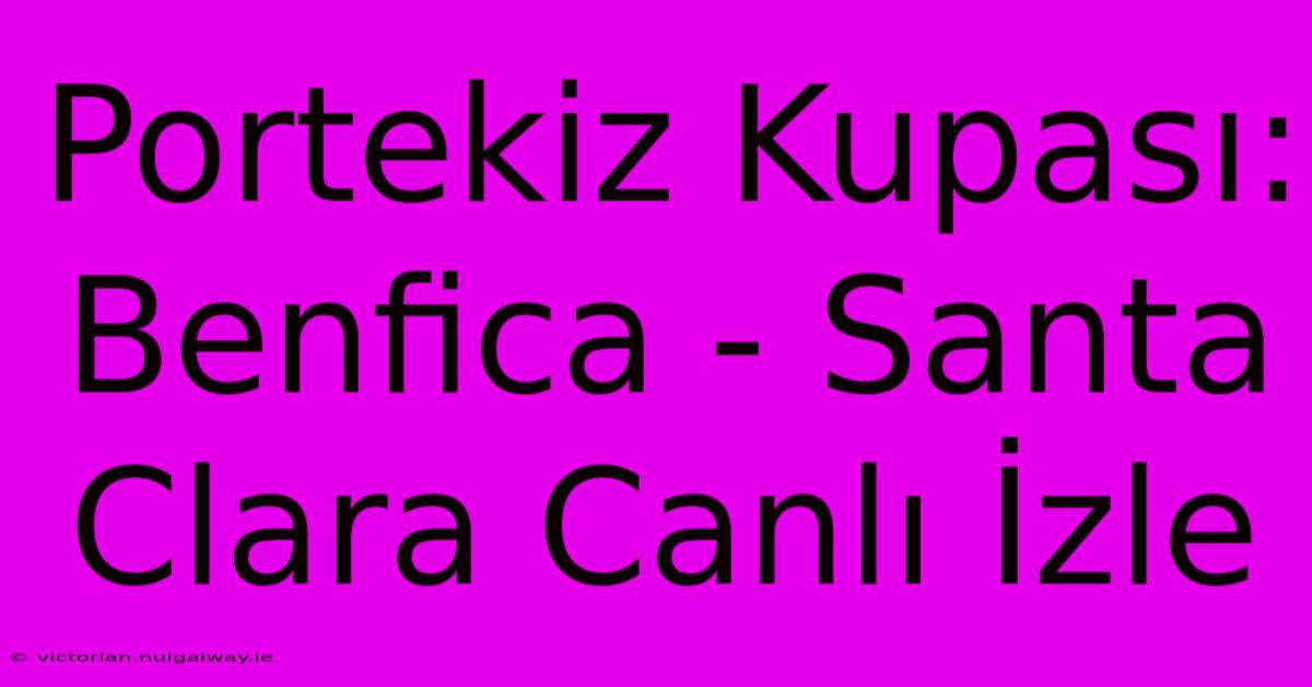 Portekiz Kupası: Benfica - Santa Clara Canlı İzle