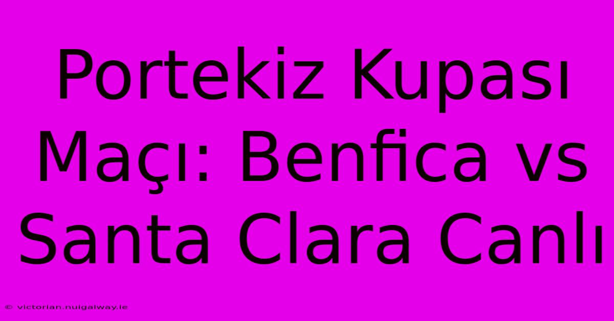 Portekiz Kupası Maçı: Benfica Vs Santa Clara Canlı 