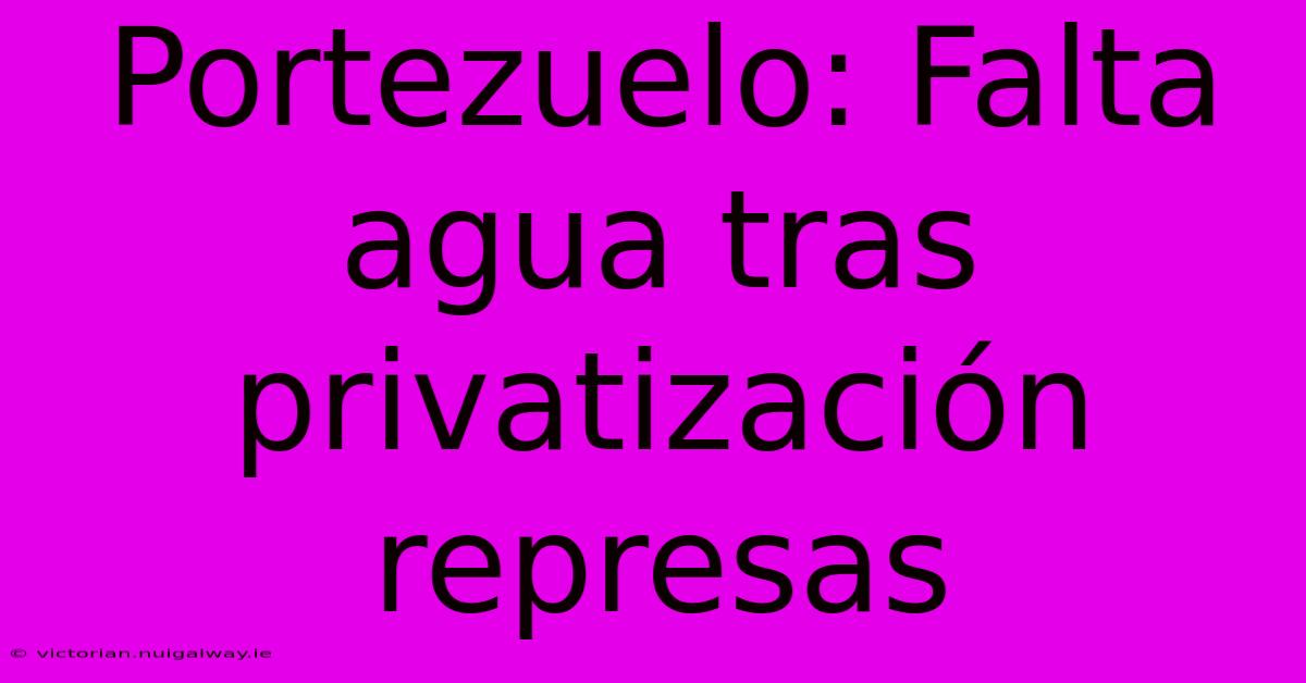 Portezuelo: Falta Agua Tras Privatización Represas