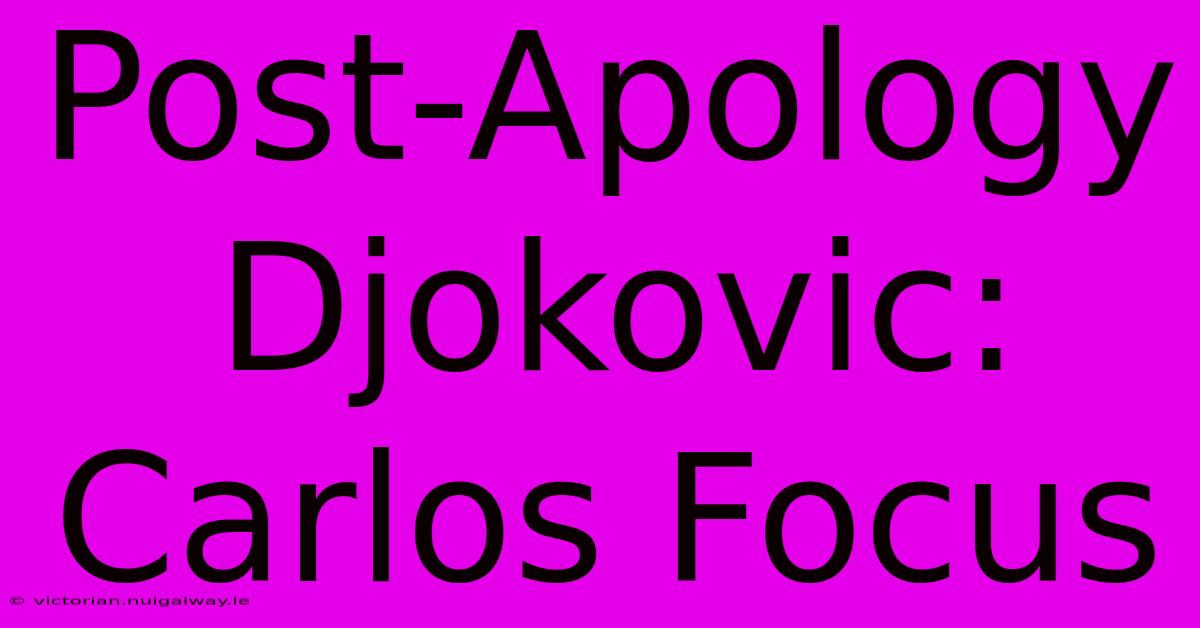 Post-Apology Djokovic: Carlos Focus