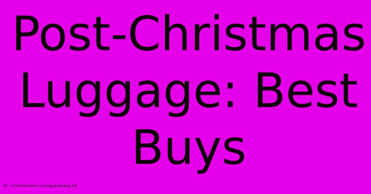 Post-Christmas Luggage: Best Buys