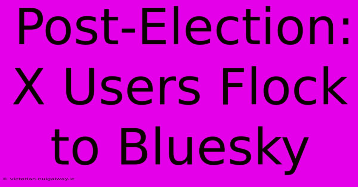 Post-Election: X Users Flock To Bluesky