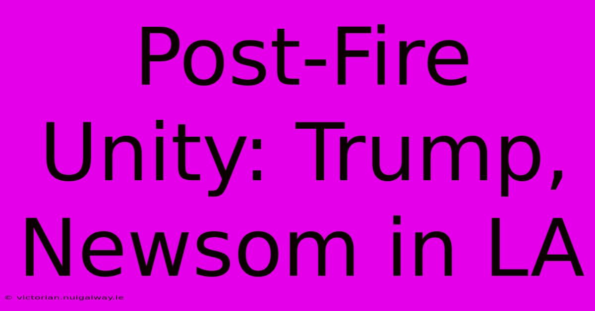 Post-Fire Unity: Trump, Newsom In LA