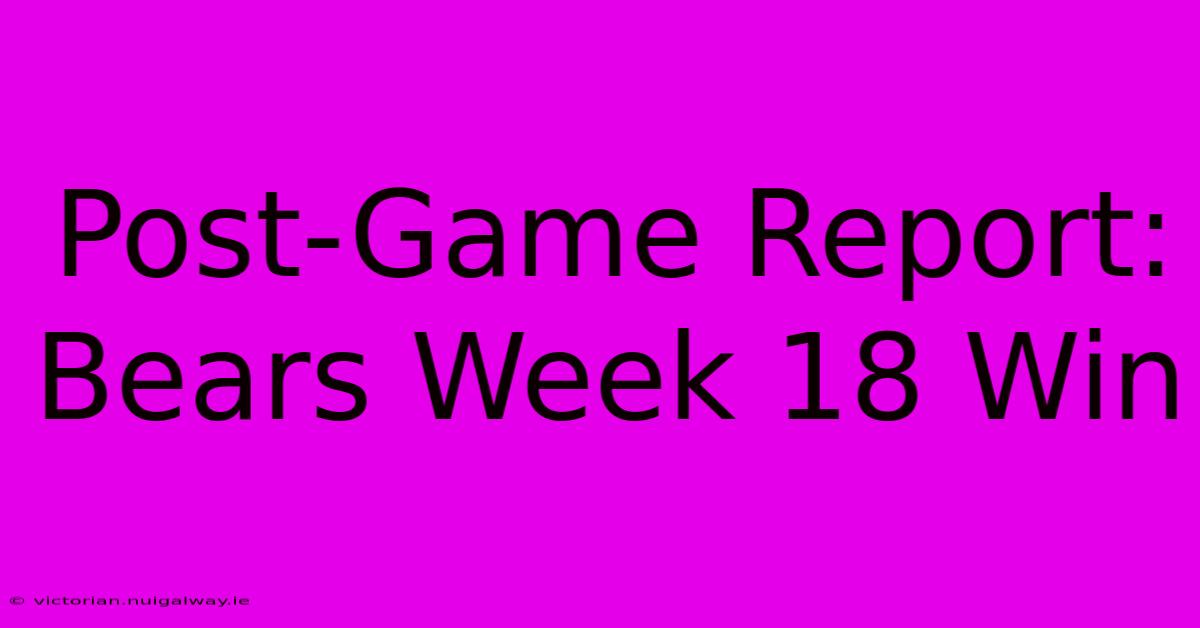 Post-Game Report: Bears Week 18 Win