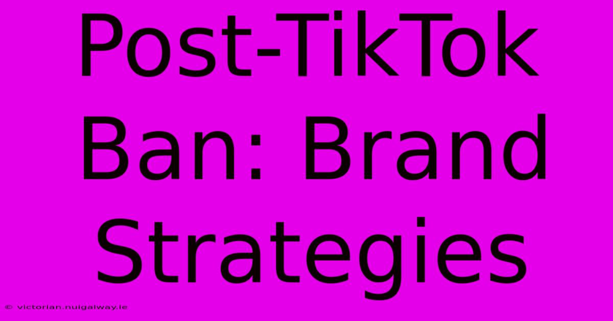 Post-TikTok Ban: Brand Strategies