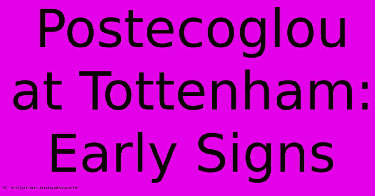 Postecoglou At Tottenham: Early Signs