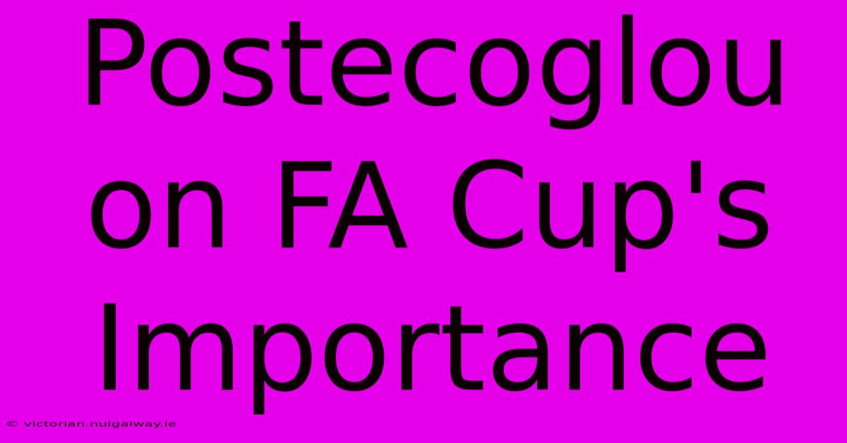 Postecoglou On FA Cup's Importance