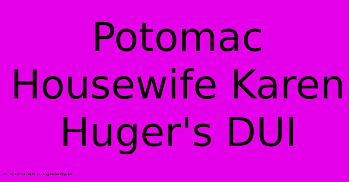 Potomac Housewife Karen Huger's DUI