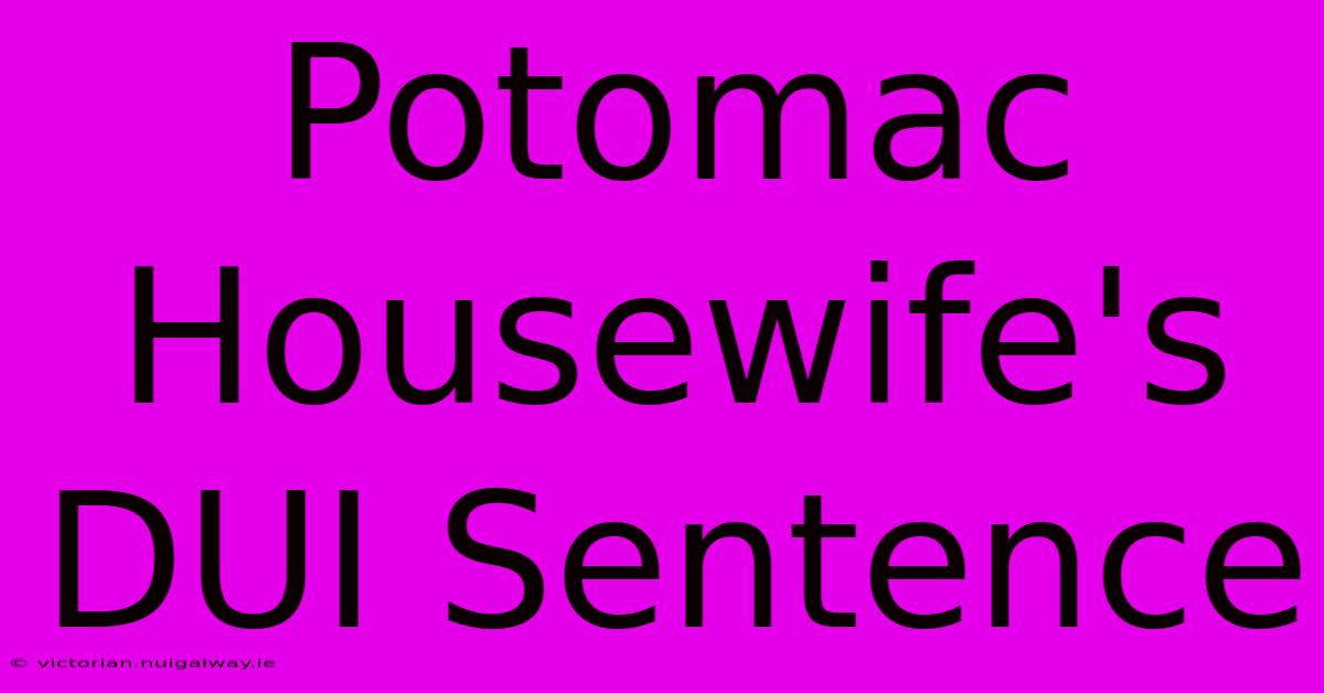 Potomac Housewife's DUI Sentence