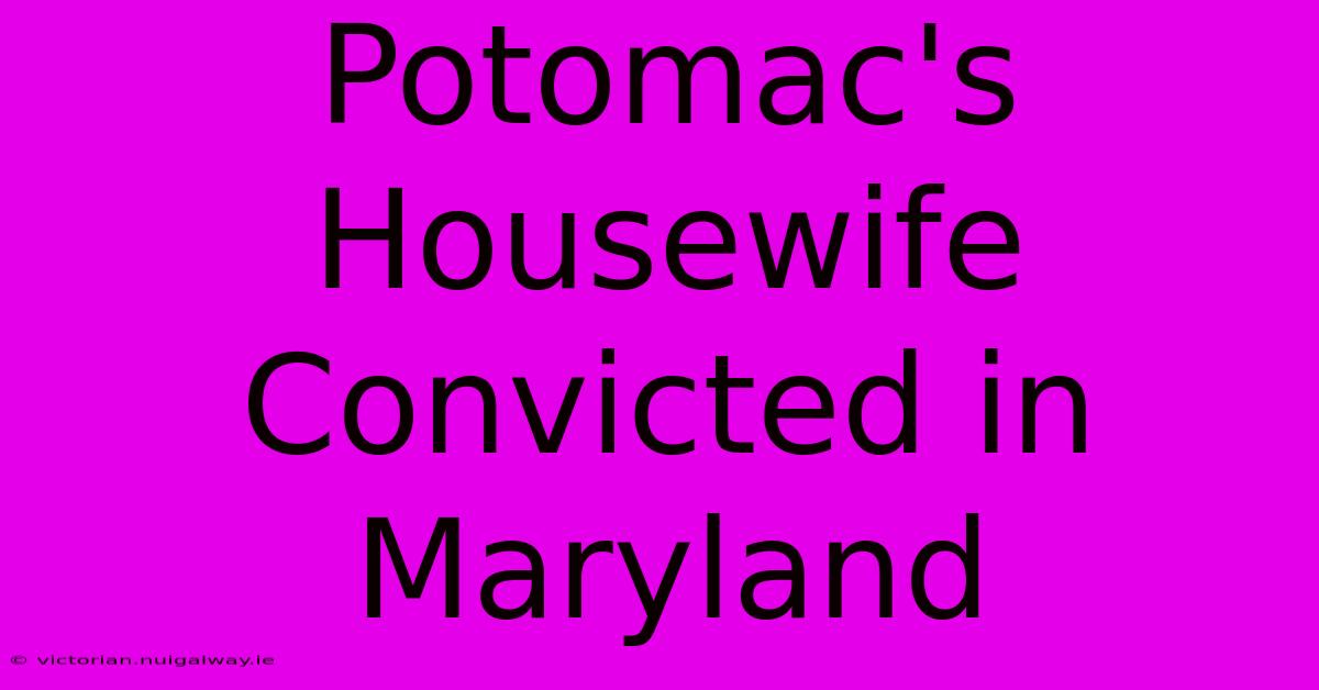 Potomac's Housewife Convicted In Maryland