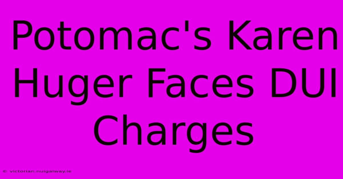 Potomac's Karen Huger Faces DUI Charges