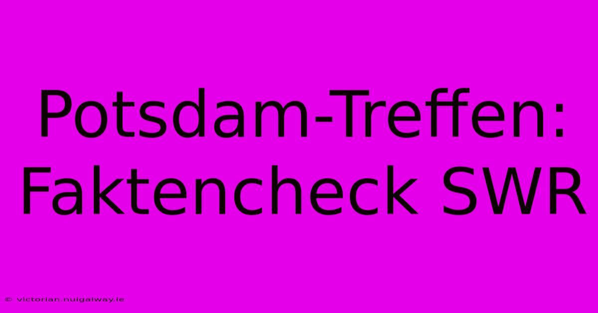 Potsdam-Treffen: Faktencheck SWR