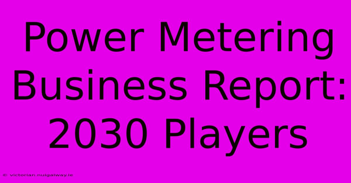 Power Metering Business Report: 2030 Players 