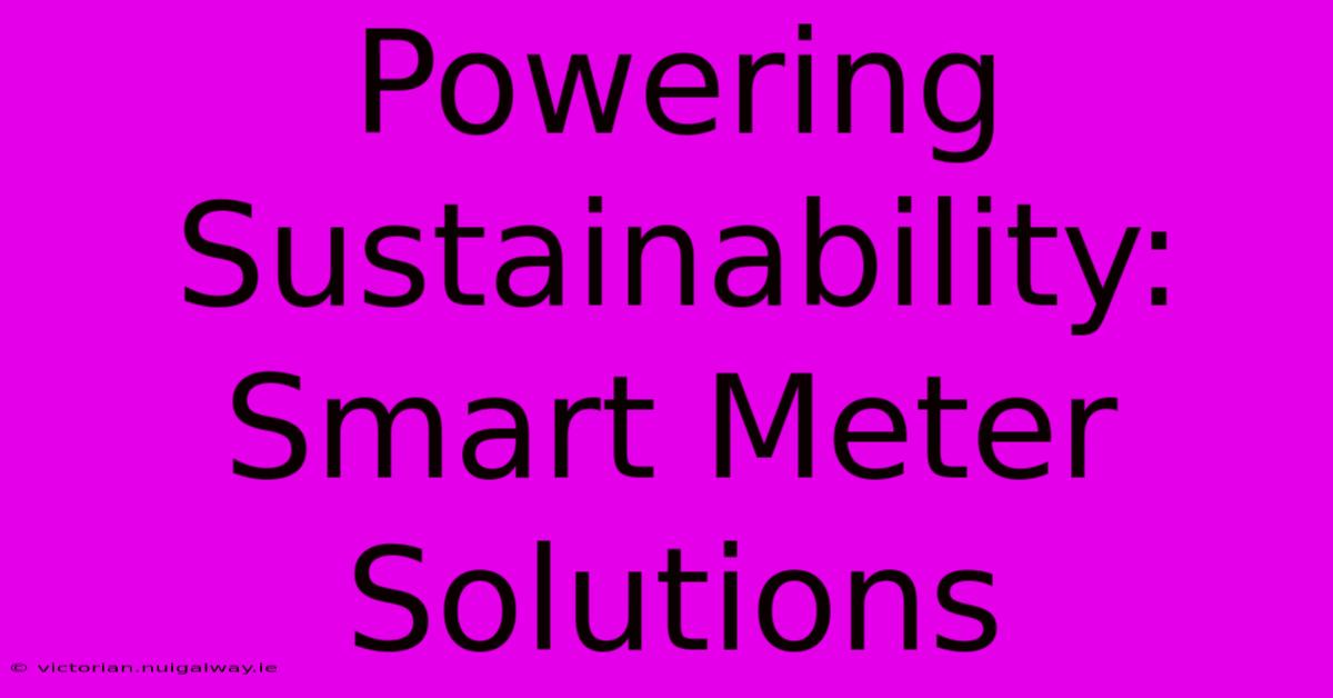 Powering Sustainability: Smart Meter Solutions 