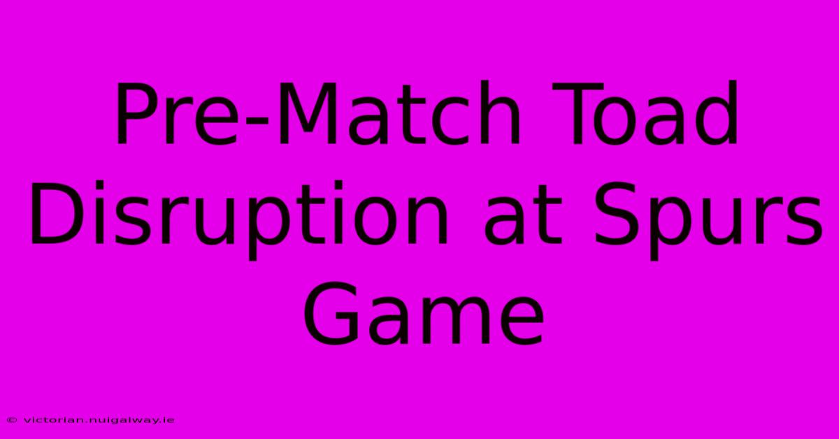 Pre-Match Toad Disruption At Spurs Game