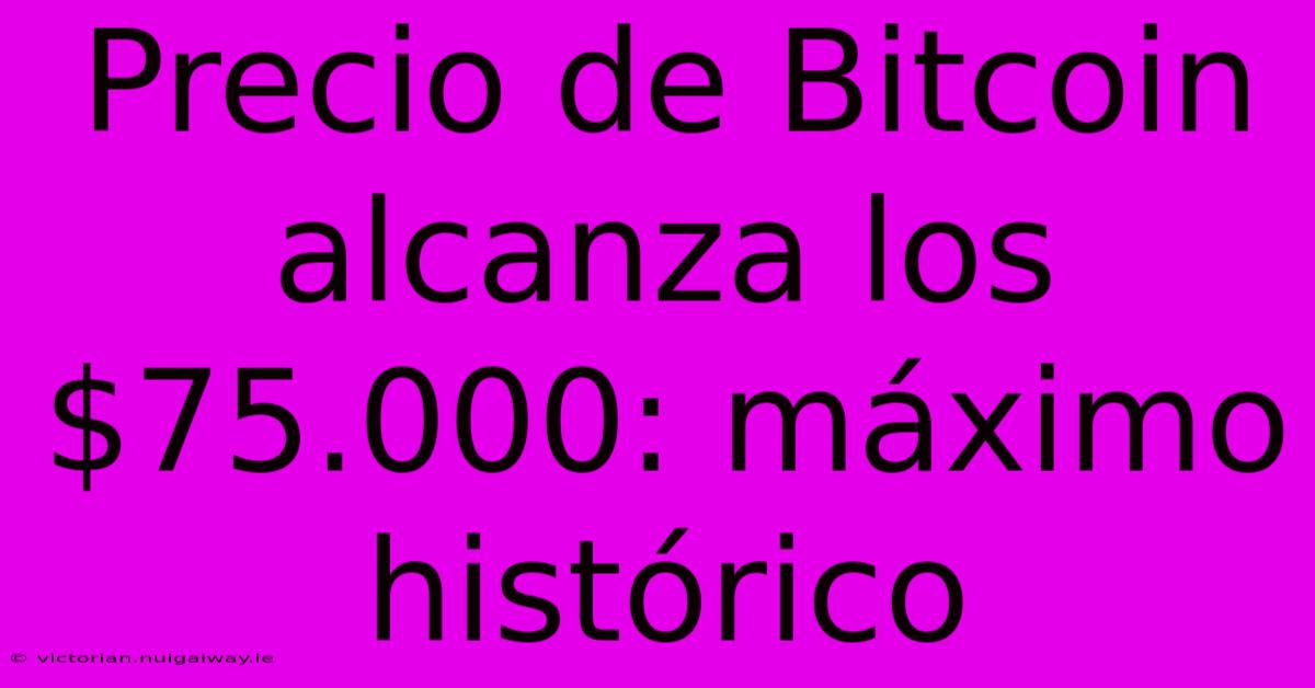 Precio De Bitcoin Alcanza Los $75.000: Máximo Histórico