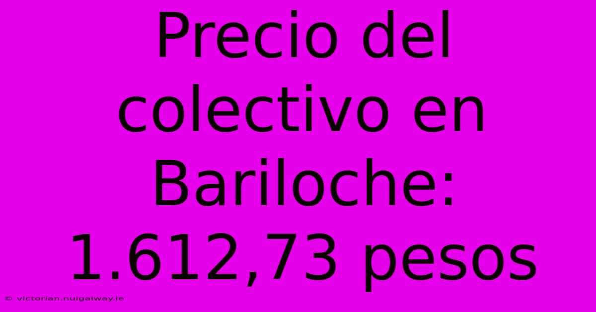 Precio Del Colectivo En Bariloche: 1.612,73 Pesos