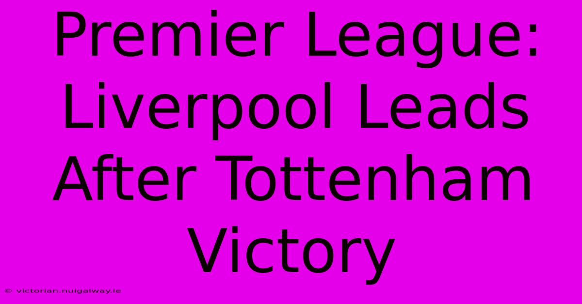 Premier League: Liverpool Leads After Tottenham Victory