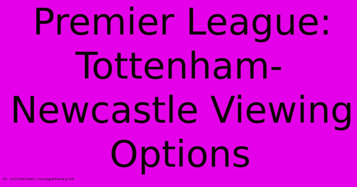 Premier League: Tottenham-Newcastle Viewing Options