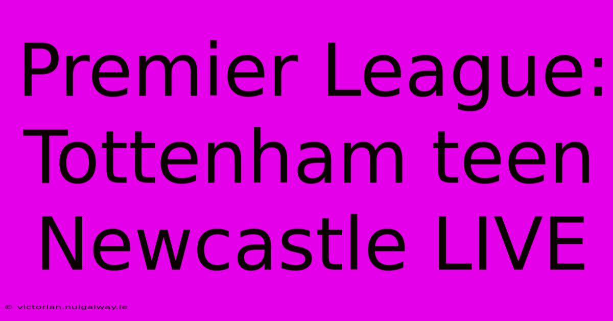 Premier League: Tottenham Teen Newcastle LIVE