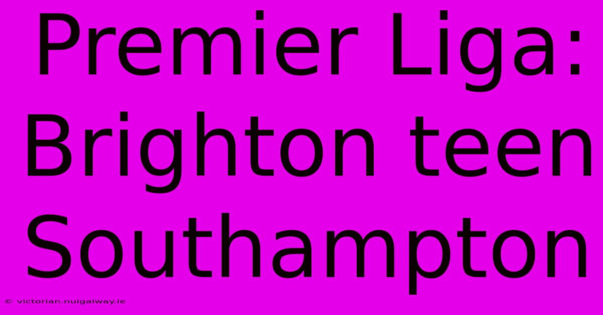 Premier Liga: Brighton Teen Southampton