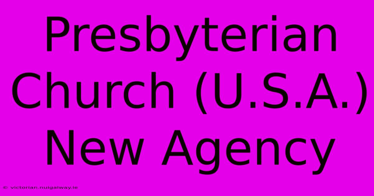 Presbyterian Church (U.S.A.) New Agency