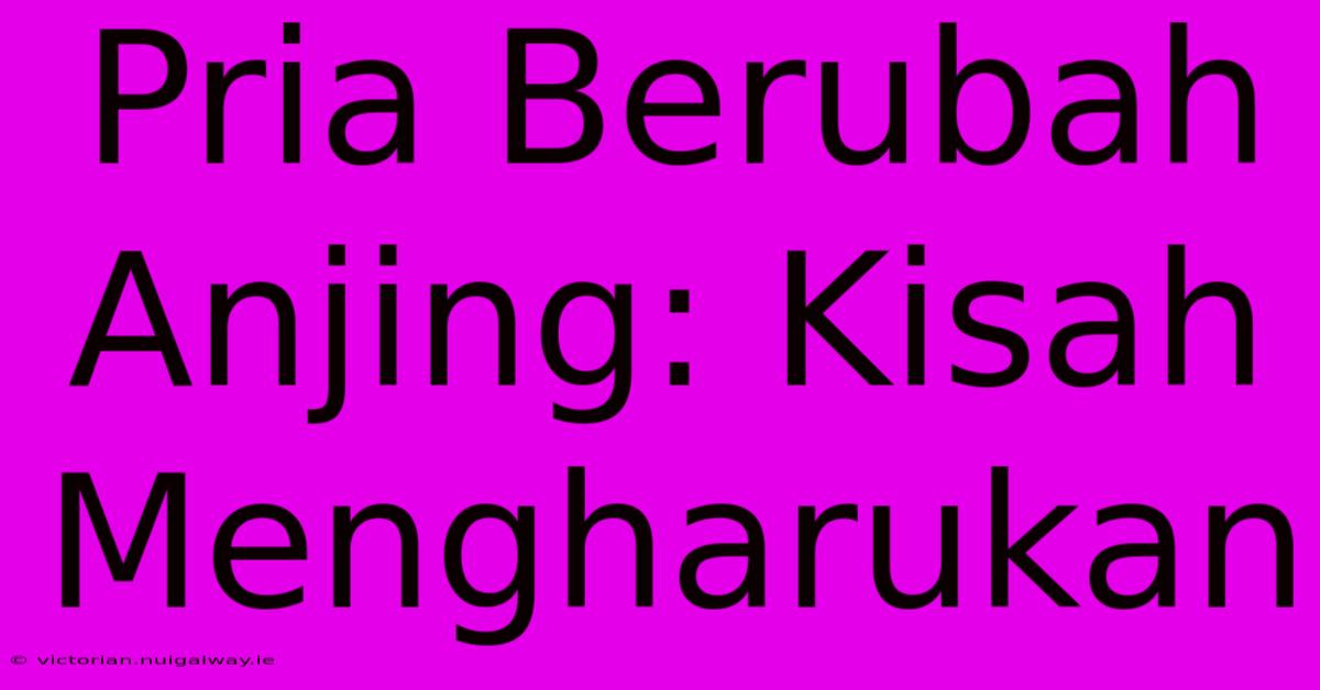 Pria Berubah Anjing: Kisah Mengharukan