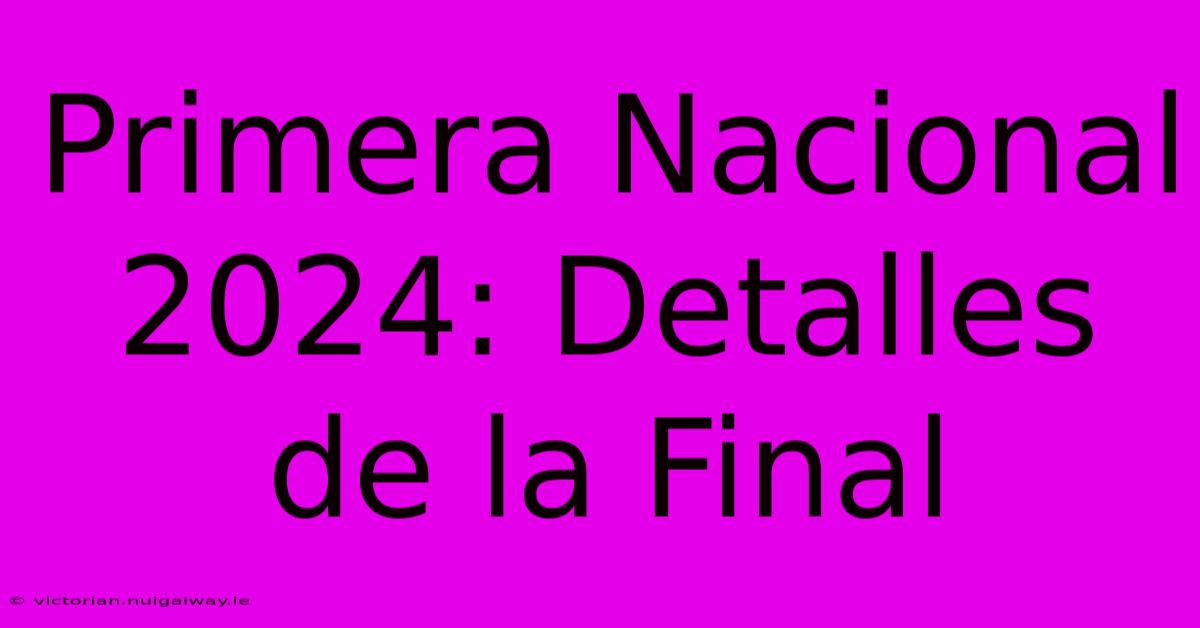 Primera Nacional 2024: Detalles De La Final