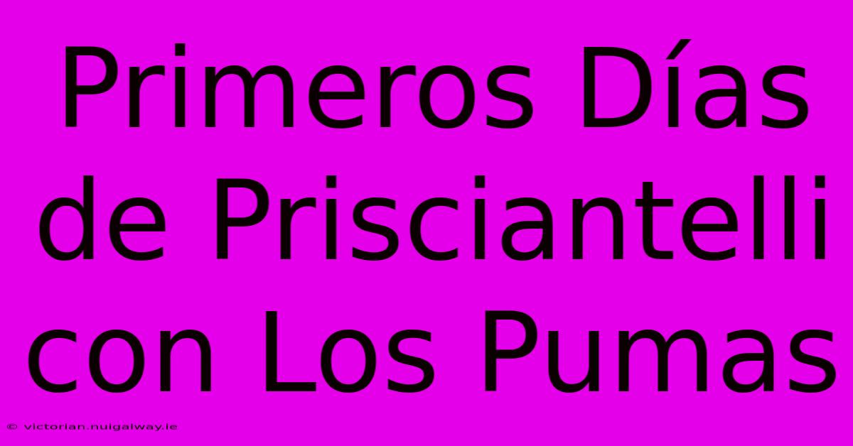 Primeros Días De Prisciantelli Con Los Pumas